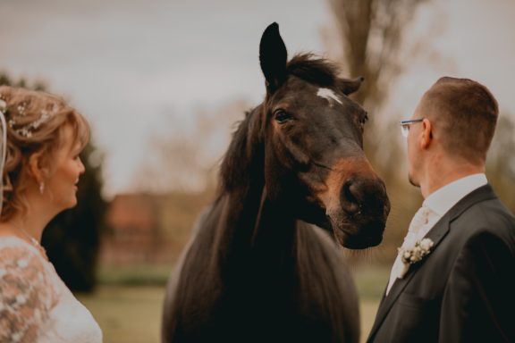Hochzeitspaar posiert mit einem schwarzen Pferd im Freien.