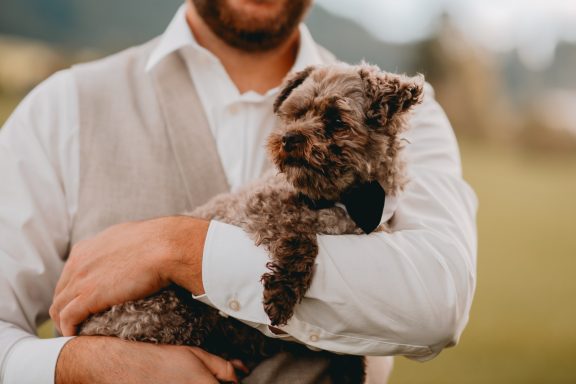Ein Mann hält einen kleinen, grauen Hund mit einer schwarzen Schleife in den Armen.